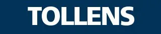 tollens-utilise-par-mathieu-peintre-peintre-a-orleans