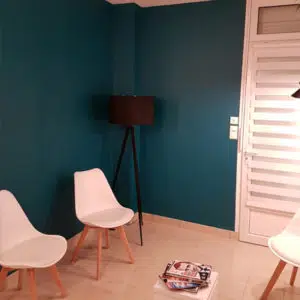 realisation-cabinet-medical-orleans-mathieu-peinture9-400x400