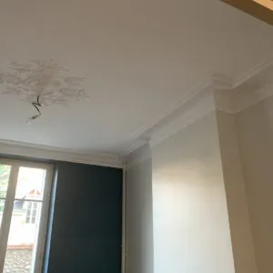 renovation peintre artisan piece a vivre peinture papier peint orleans (4)