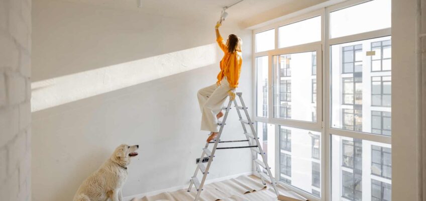renovation appartement orleans reglementation